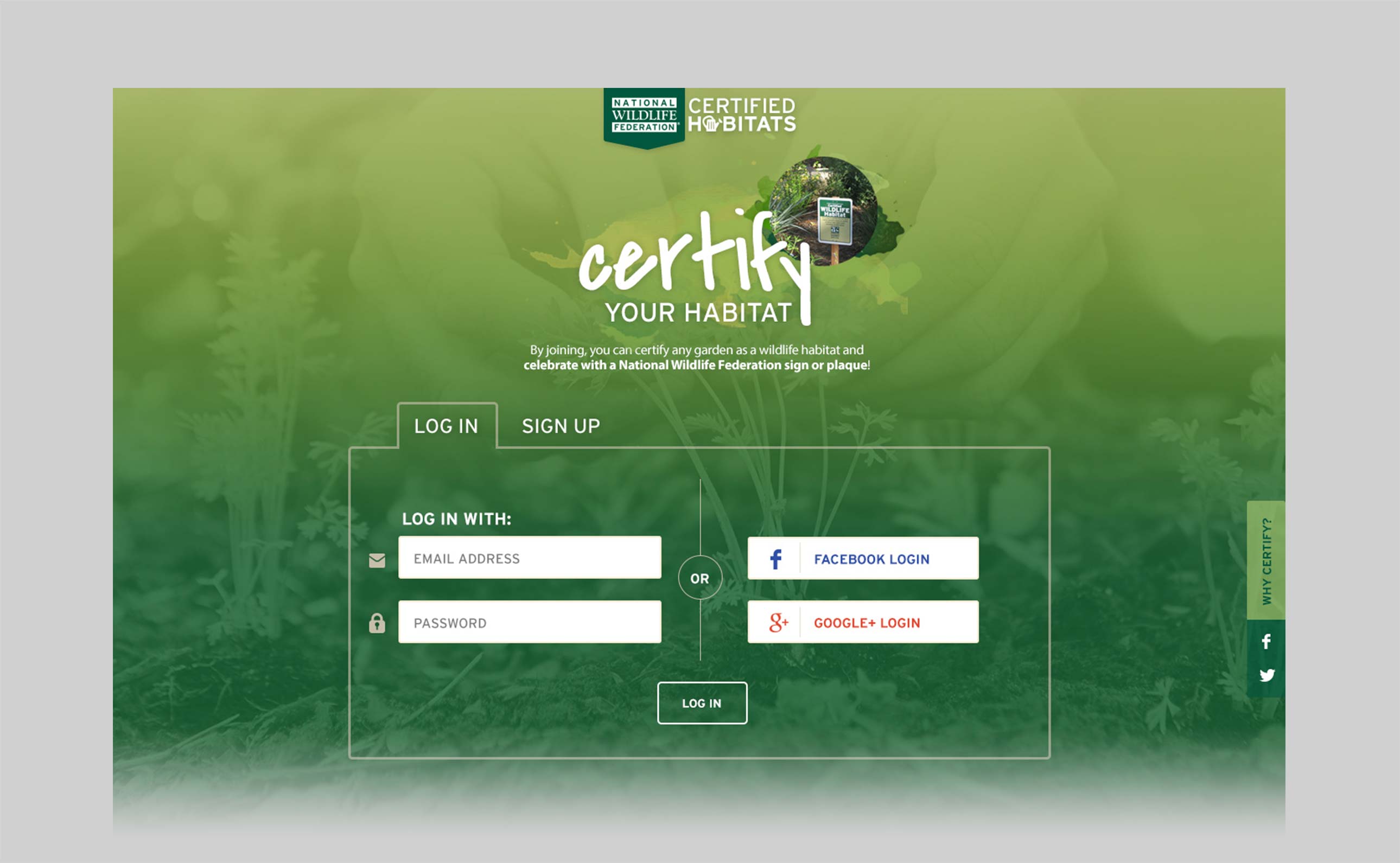 Certify User Experience Design